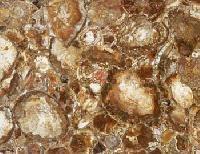 Desert Petrified Wood Tiles Manufacturer Supplier Wholesale Exporter Importer Buyer Trader Retailer in Karnataka Karnataka India